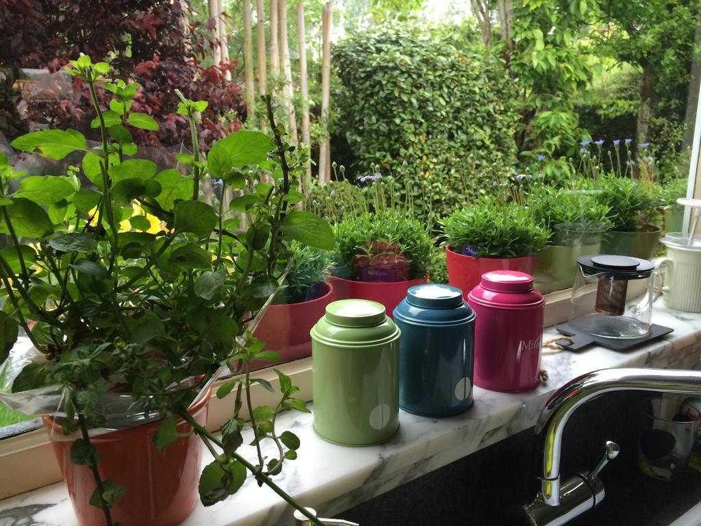 B&B Huize Van Damme นิวว์ปอร์ท ภายนอก รูปภาพ